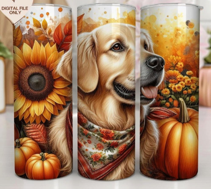 Golden Pumpkin